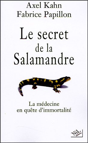Le secret de la Salamandre, Nil 2005